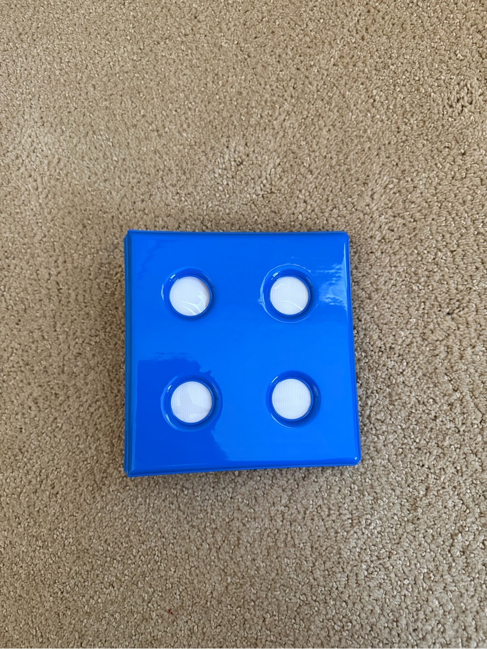 Puffy Blue Polaroid Holder Book